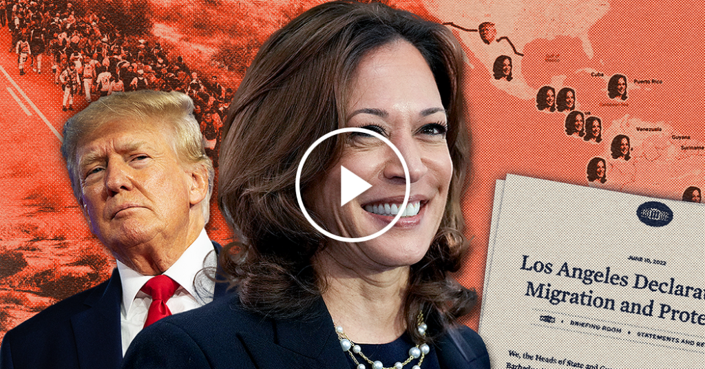 Opinion | How Biden and Harris Constructed That Wall