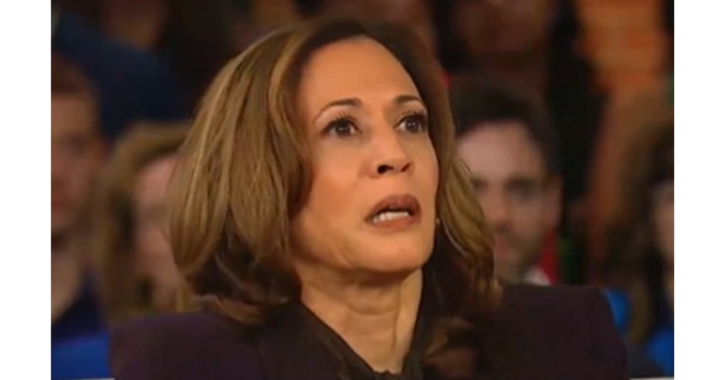 CNN: Supply Near Harris Marketing campaign Panicking and Having “Flashbacks to 2016” After Kamala’s Media Blitz Turns Into Doom Spiral (VIDEO) | The Gateway Pundit