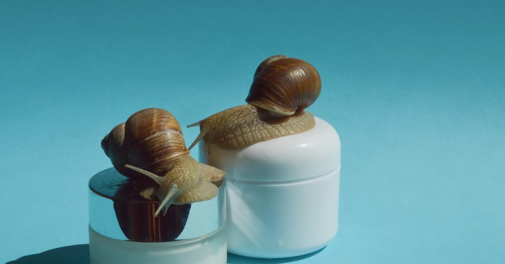 Snail Mucin Is a Pores and skin Care Sensation With Historic Origins