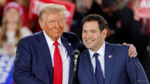 Trump anticipated to faucet US Senator Marco Rubio for secretary of state as group takes form