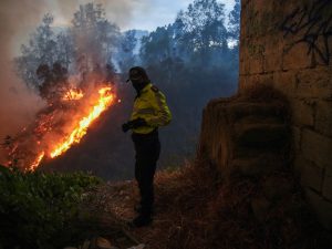 Ecuador declares 60-day state of emergency to assist battle wildfires | Local weather Information