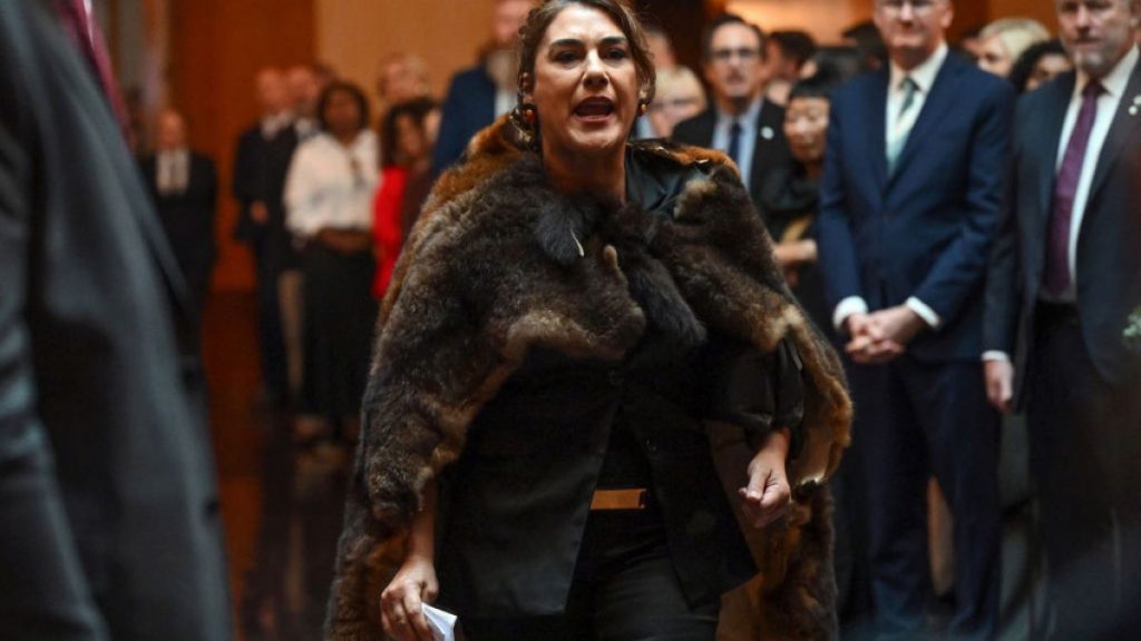 ‘I cannot be silent’: Australia censures senator for King Charles protest | Indigenous Rights Information