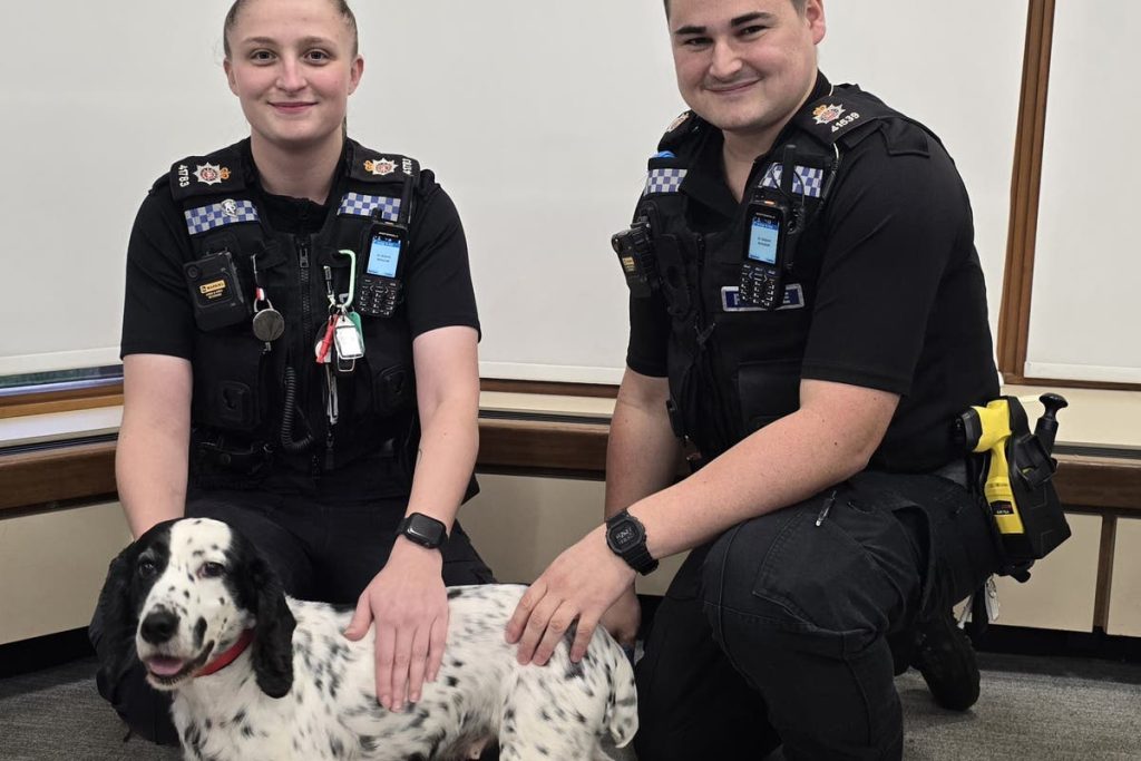 Canine reunited with house owners eight years after being stolen Canine reunited with house owners eight years after being stolen