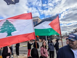 US election 2024: Arab People united in grief, divided on technique | US Election 2024 Information