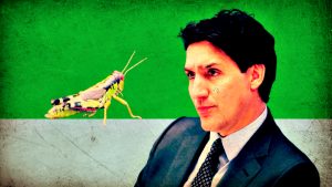 Globalist Trudeau Went All in With Feeding Bugs to Canadians – Embattled Prime Minister Blew  Million in Failed Edible Cricket Manufacturing facility | The Gateway Pundit