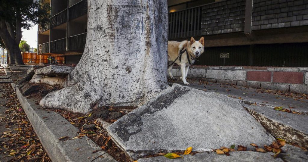 L.A. squanders thousands and thousands that it might use to repair streets and sidewalks