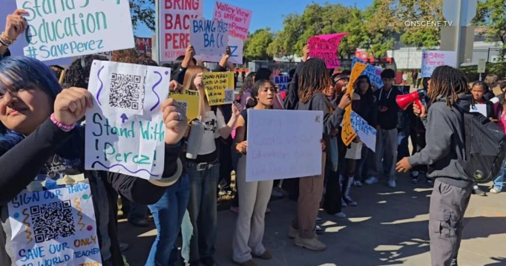 There is not any excuse for a trainer occurring an anti-Trump tirade in school