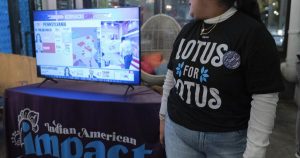 What did the Asian American vote in 2024 inform us?