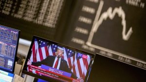 From banks to small-caps, Trump victory drives rally in shares