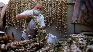 China says US politicians have to be extra rational after senator’s name for garlic probe