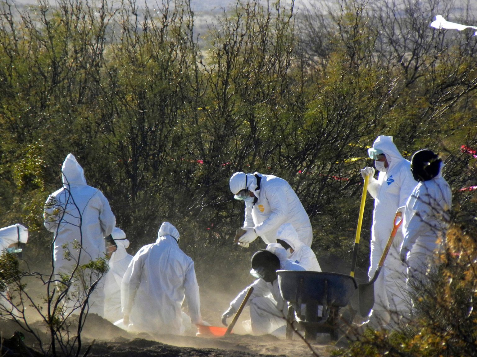 Authorities discover 12 our bodies in clandestine graves in northern Mexico | Human Rights Information