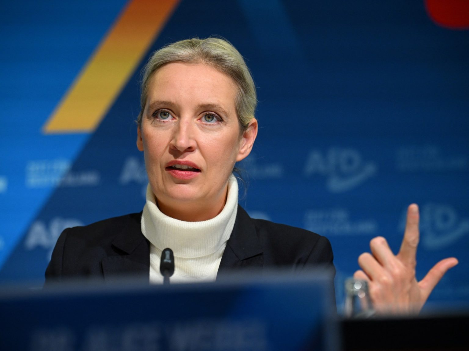 Germany’s far-right AfD picks chancellor candidate first time | Information