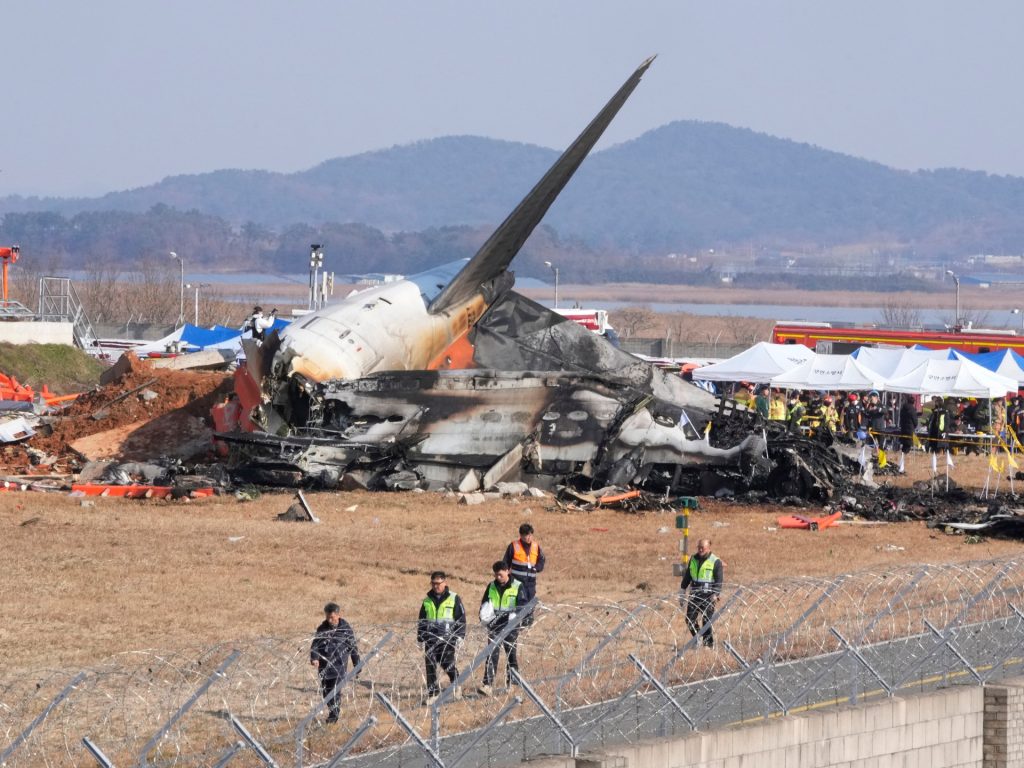 Passenger airplane crashes at South Korean airport, killing 151 | Gallery Information