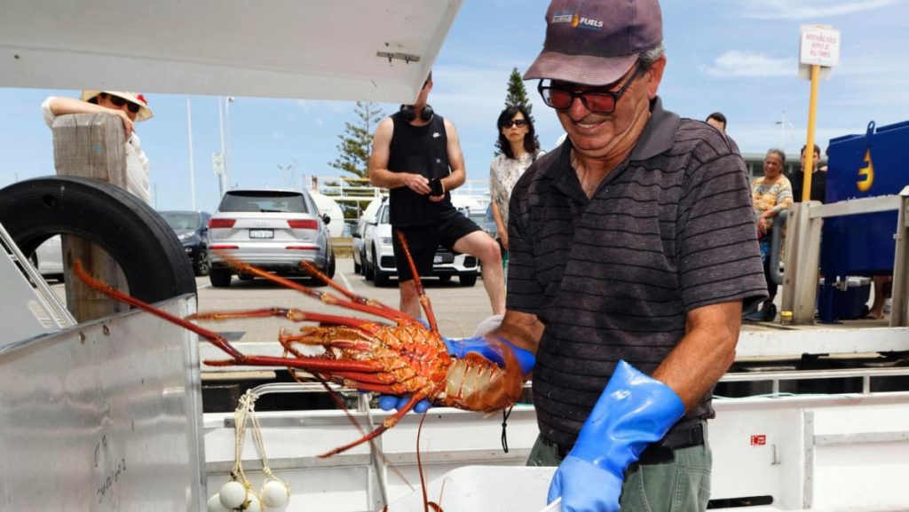 China lifts rock lobster ban, bringing finish to Australian commerce barrier China lifts rock lobster ban, bringing finish to Australian commerce barrier
