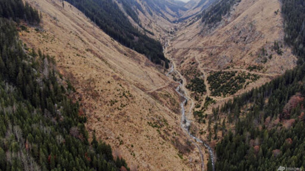 EU’s landmark anti-deforestation regulation on shaky floor after delay in implementation