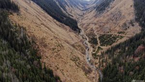 EU’s landmark anti-deforestation regulation on shaky floor after delay in implementation