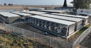 “I hope God seems to be a canine”: Horror of captive blood donation for pets