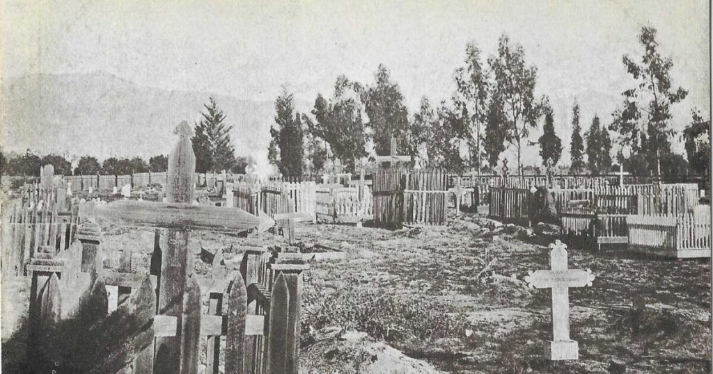 ‘No Place to Bury the Useless’ is a meditation on migration and loss