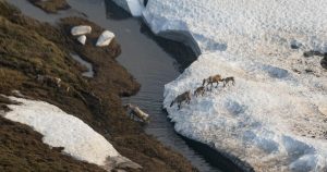 Alaska is local weather sufferer and perpetrator. Trump 2.0 will make issues worse