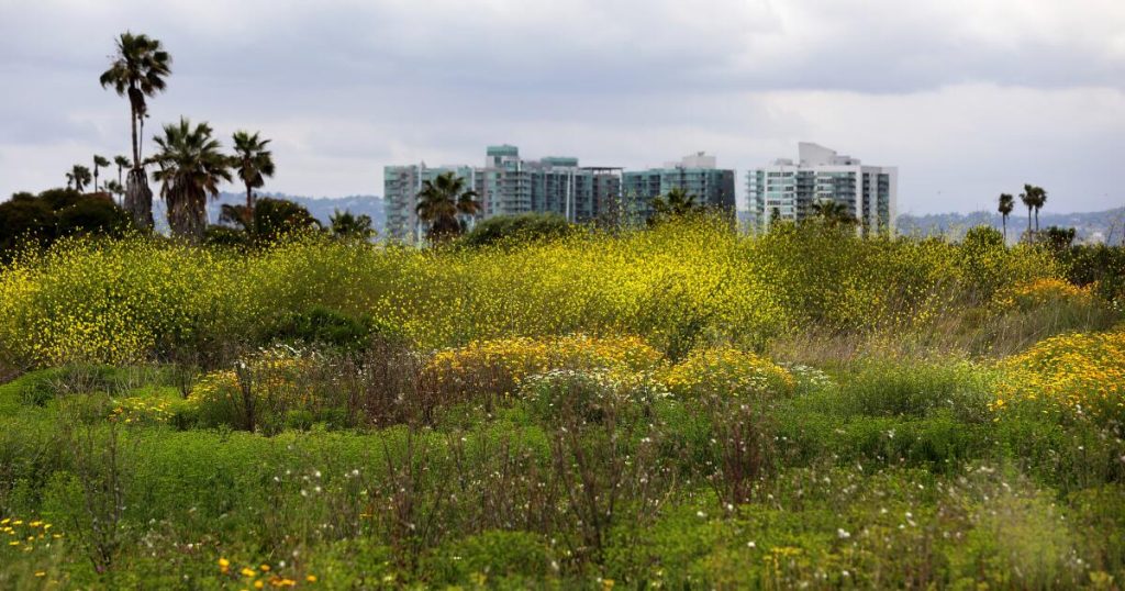 Opinion: Habitat for all — how housing and biodiversity can coexist