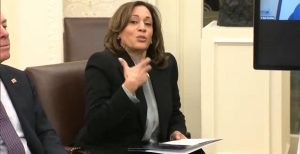 Kamala Harris Delivers Phrase Salad to California Wildfire Victims (VIDEO) | The Gateway Pundit
