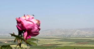 Opinion | Now Is the Time to Reimagine Lebanon