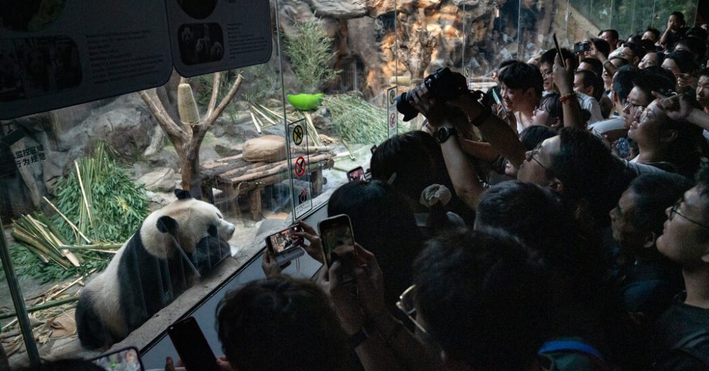 China Cracks Down on On-line Panda Advocacy China Cracks Down on On-line Panda Advocacy