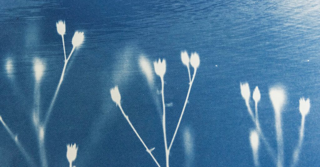 Opinion | The Debate About Land Acknowledgments