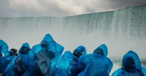 Opinion | What Will Trump Do With All That Energy?