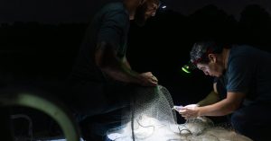 Panama Canal’s Enlargement Opened Routes for Fish to Relocate