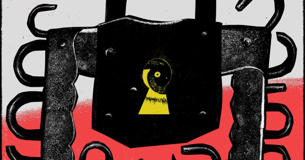 Opinion | The Battle Over TikTok Is One Entrance in a New Chilly Struggle