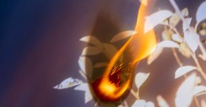 Opinion | I Fought Wildfires in California. Trump Will Make the Downside Worse.