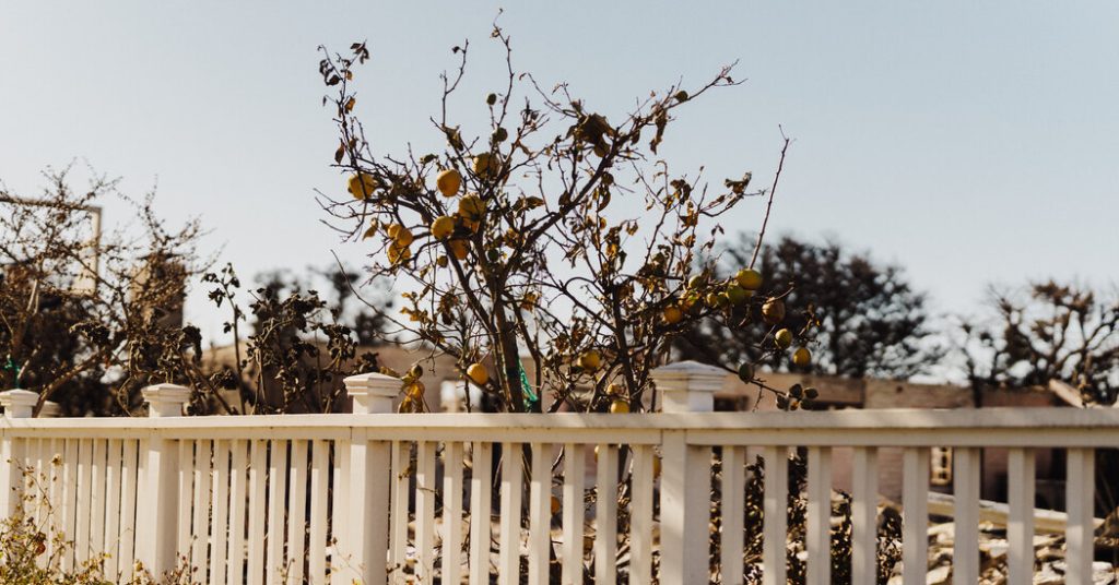 Opinion | How Los Angeles Goals Grew to become Kindling