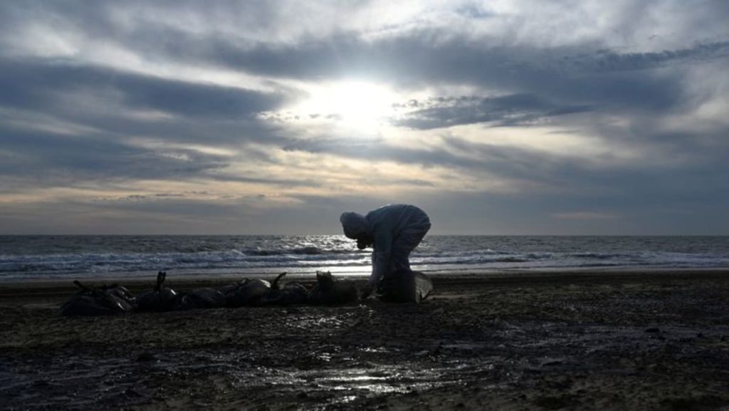 Russia clears 1000’s of tons of contaminated sand after Black Sea oil spill Russia clears 1000’s of tons of contaminated sand after Black Sea oil spill