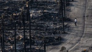 Neighborhoods below risk as Los Angeles Palisades fireplace rages on