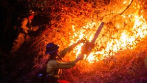 Demise toll from Los Angeles fires rises, with harmful winds incoming
