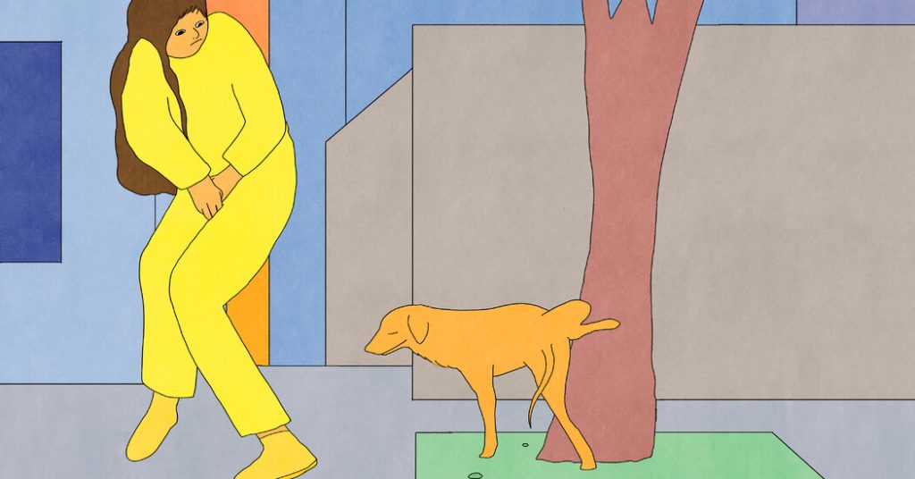 Opinion | Extra Public Restrooms Are Sorely Wanted Opinion | Extra Public Restrooms Are Sorely Wanted