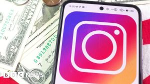 TikTokers provided 00 to affix Fb and Instagram