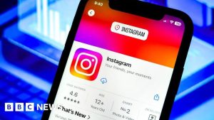 Instagram hides search outcomes for ‘Democrats’