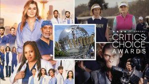 Hollywood Occasions Cancelled Due To LA Wildfires: Premieres & Manufacturing