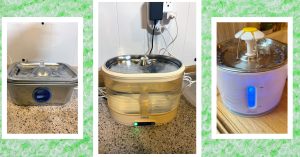 12 Greatest Cat Water Fountains, WIRED Examined and Reviewed (2025)