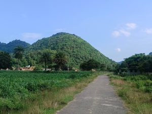 In India’s east, farmers danger jail to develop profitable hashish crop | Medicine