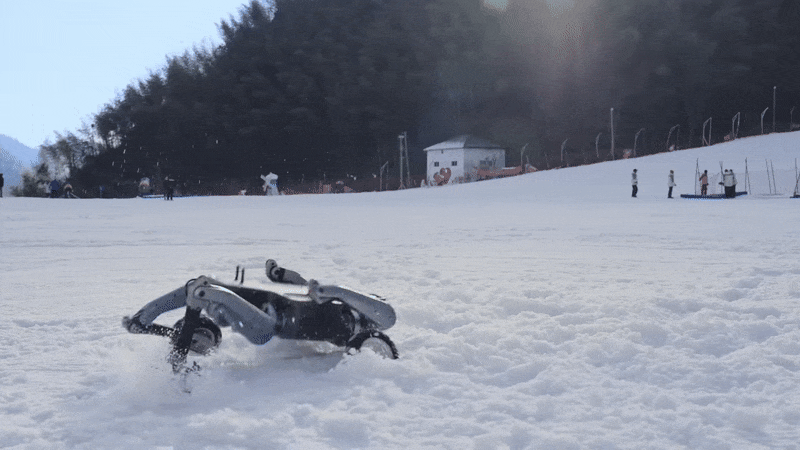 DEEP Robotics Quadruped, Agility Digit, and Extra DEEP Robotics Quadruped, Agility Digit, and Extra