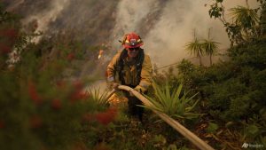 Firefighters race to beat LA blazes as winds develop and dying toll hits 16