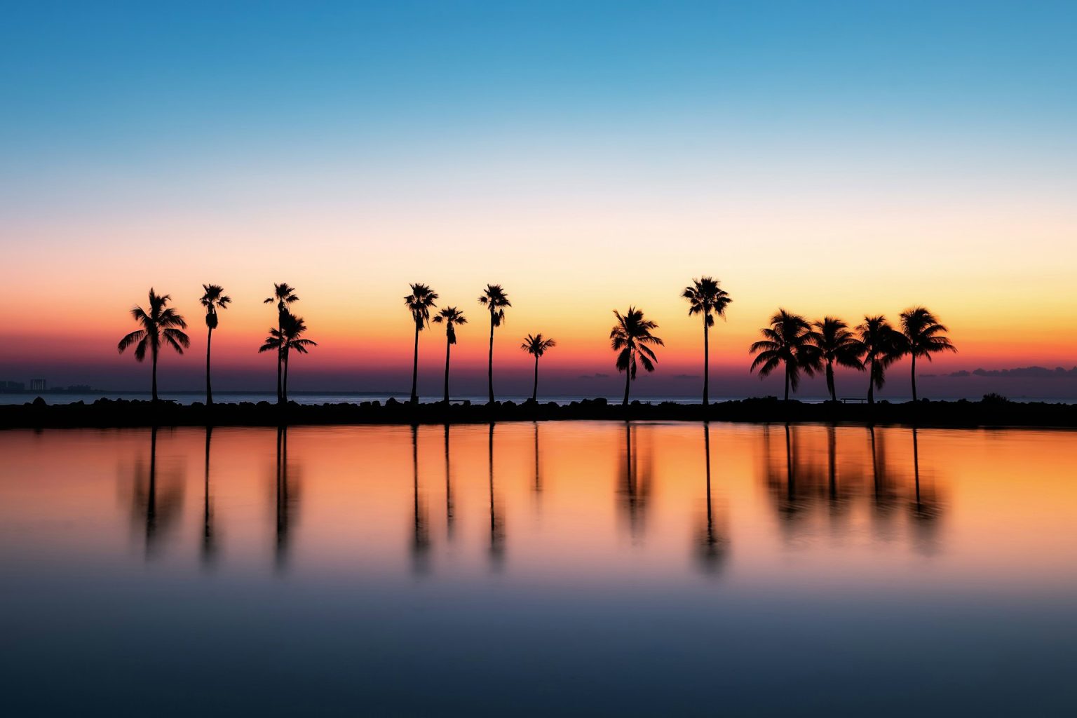 The place is the perfect place to see the dawn in Miami? The place is the perfect place to see the dawn in Miami?