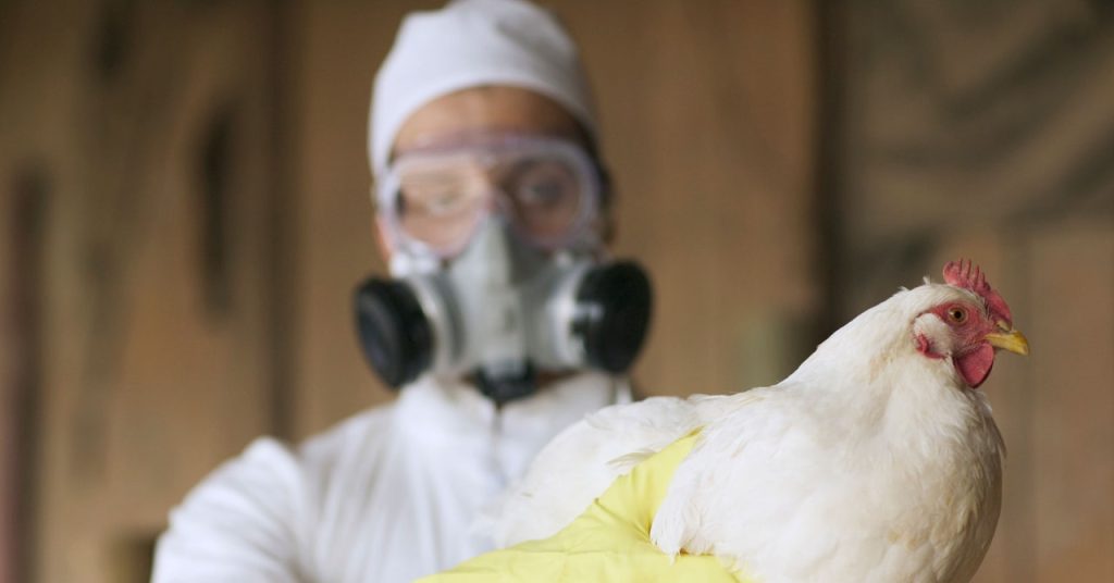 The First US Fowl Flu Demise Is a Stark Warning