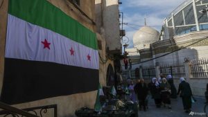 Visiting UN investigator voices hope for higher Syria ties