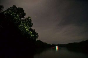 Abatan River Firefly Tour – Bohol, Philippines {Evaluation}