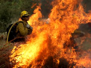 Lives on the road: Low pay has US wildland firefighters quitting | Setting Information