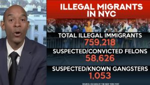 Hurricane Helene: Solutions Looked for How Rogue FEMA Staff Used M for ‘Unlawful Alien Housing’ in NYC Luxurious Inns